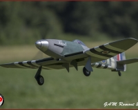 TSR Watermark - 0377